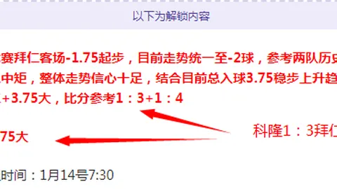 《篮球盛宴：深度解码灰熊与老鹰对决，不容错过的精彩解析！》